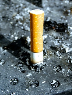 cigarette butt pic